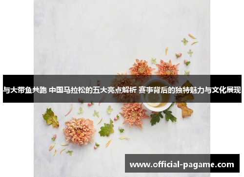 与大带鱼共跑 中国马拉松的五大亮点解析 赛事背后的独特魅力与文化展现