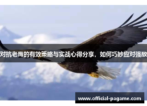 对抗老鹰的有效策略与实战心得分享，如何巧妙应对强敌