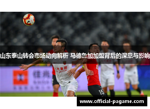 山东泰山转会市场动向解析 马德鲁加加盟背后的深意与影响 山东泰山转会市场动向解析 马德鲁加加盟背后的深意与影响