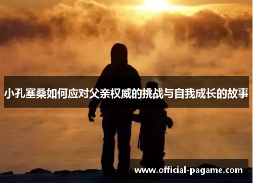 小孔塞桑如何应对父亲权威的挑战与自我成长的故事