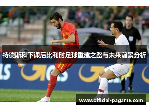 特德斯科下课后比利时足球重建之路与未来前景分析