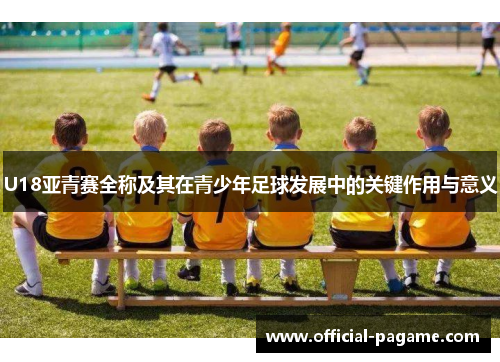 U18亚青赛全称及其在青少年足球发展中的关键作用与意义