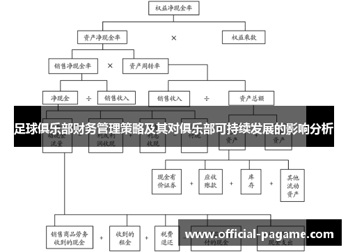 足球俱乐部财务管理策略及其对俱乐部可持续发展的影响分析