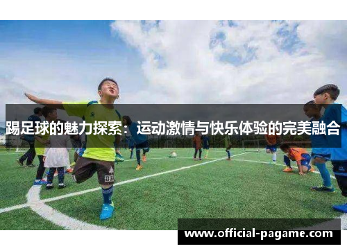 踢足球的魅力探索：运动激情与快乐体验的完美融合