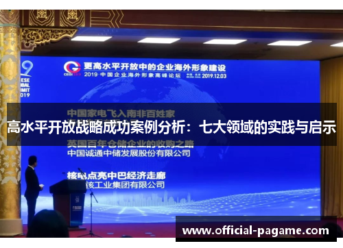 高水平开放战略成功案例分析：七大领域的实践与启示