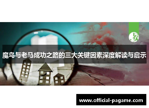 魔鸟与老马成功之路的三大关键因素深度解读与启示
