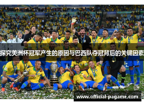 探究美洲杯冠军产生的原因与巴西队夺冠背后的关键因素