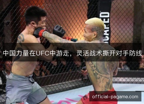 中国力量在UFC中游走，灵活战术撕开对手防线
